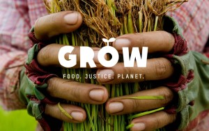 grow-campaign-rice-farmer-cambodia-ogb-46427_1220x763