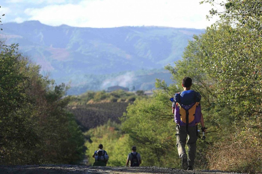 slow_travel_fest_-via_francigena