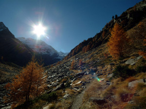 gran paradiso