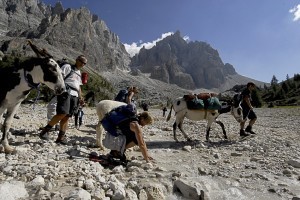 Trekking con gli asini