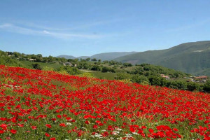 26-08-2008-ID_1000_valnerina_S