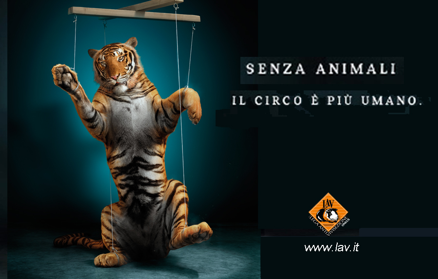 Risultati immagini per NO AGLI ANIMALI NEL CIRCO