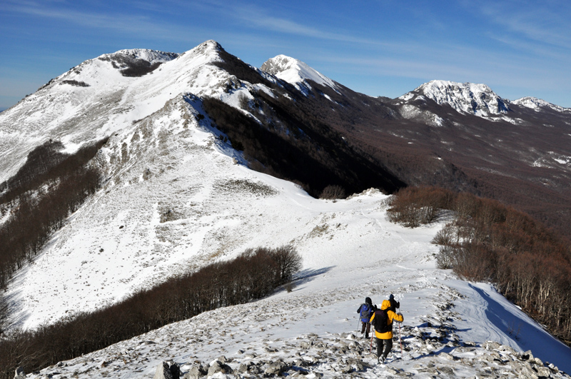 A3020.-Pollino.-Crinale-Manfriana.-Ph-F.-Bevilacquaweb