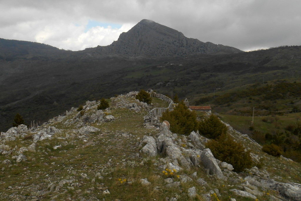 Timpadella Falconara