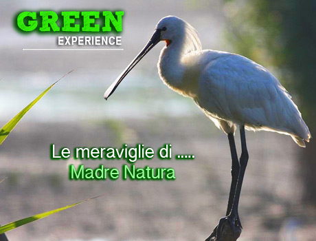 Vacanze nella natura