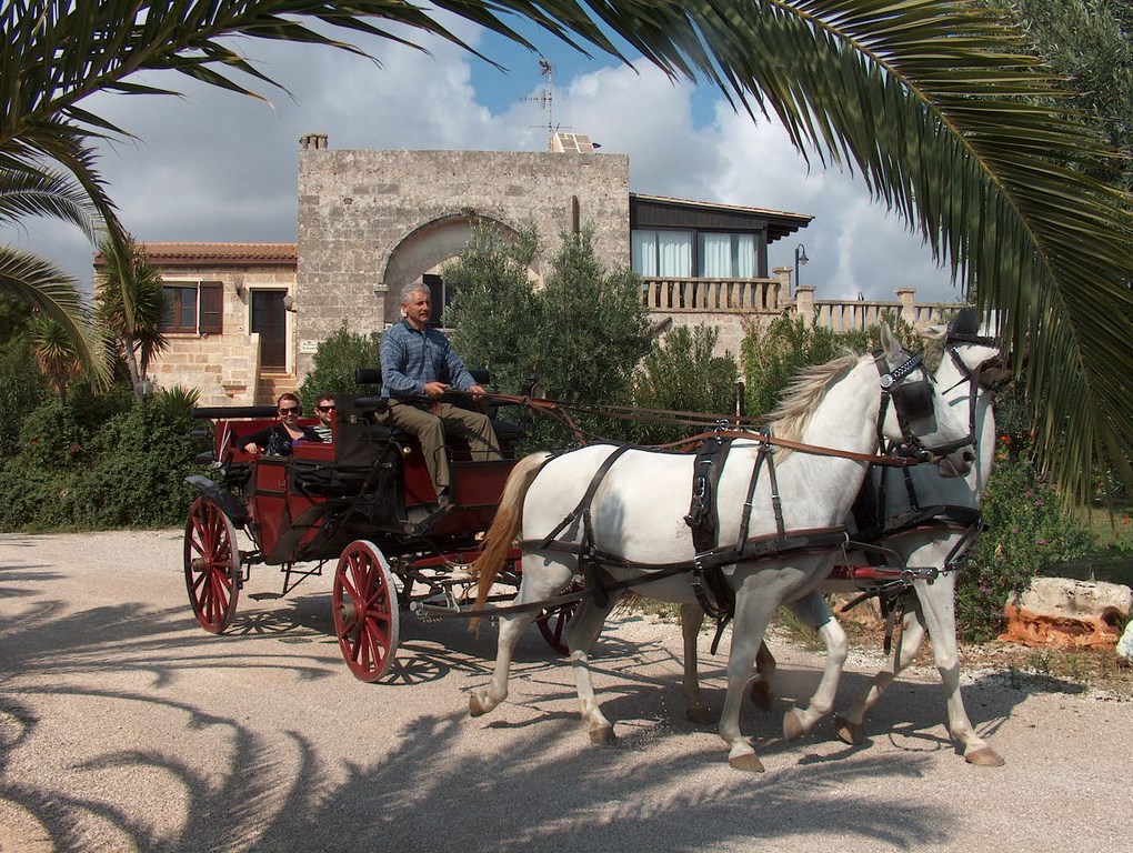 Agriturismo Serine