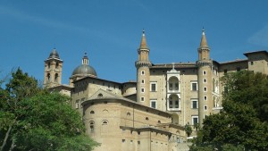 urbino