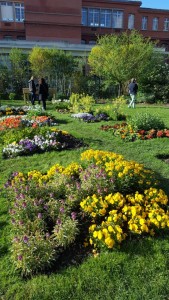 Jardin des Plantes Toulouse