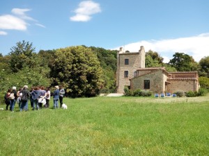 erbe spontanee armaiolo taste in tuscany